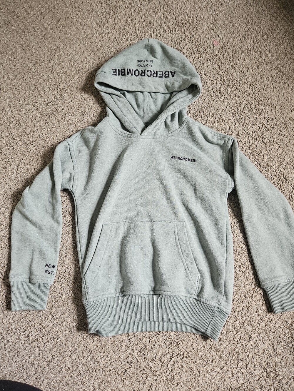 abercrombie kids Sage Green Pullover Hoodie
